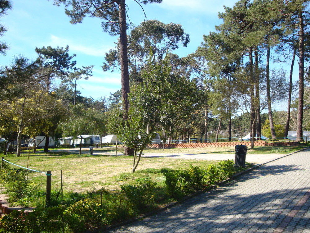 Parque De Campismo Orbitur Caminha Ξενοδοχείο Εξωτερικό φωτογραφία